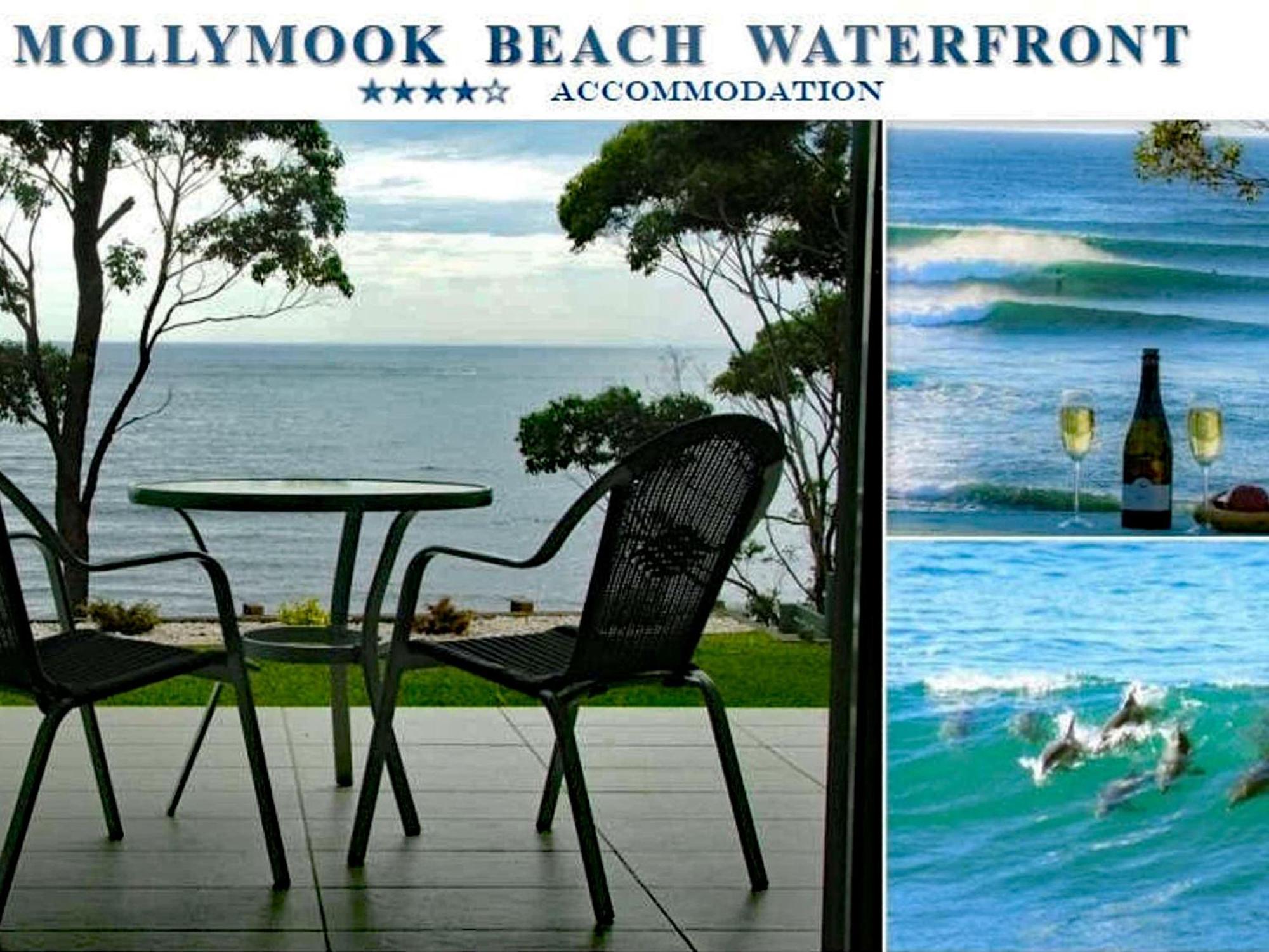 Mollymook Beach Waterfront Exteriör bild