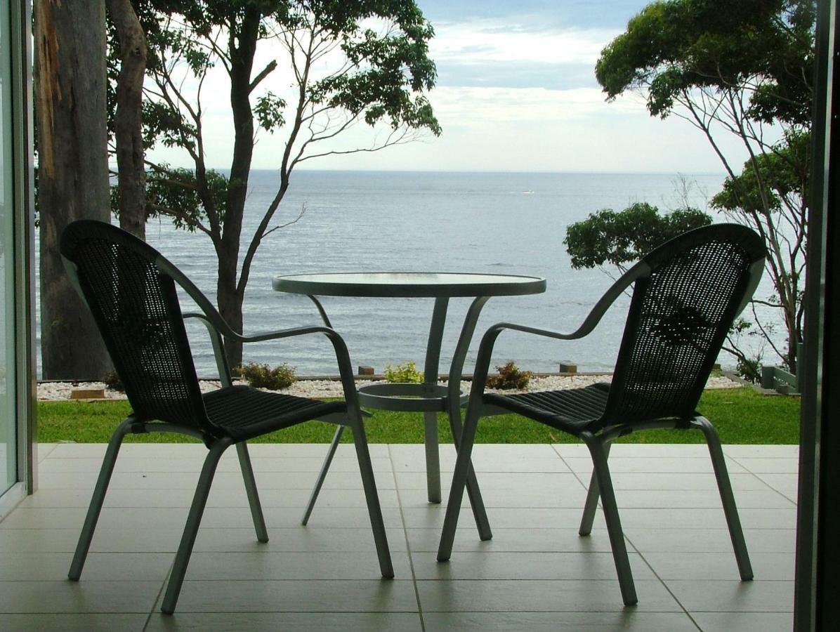 Mollymook Beach Waterfront Exteriör bild